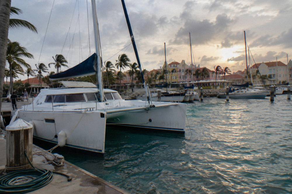 A catamaran anchored near a marina with palm trees and moored sailboats in calm evening light