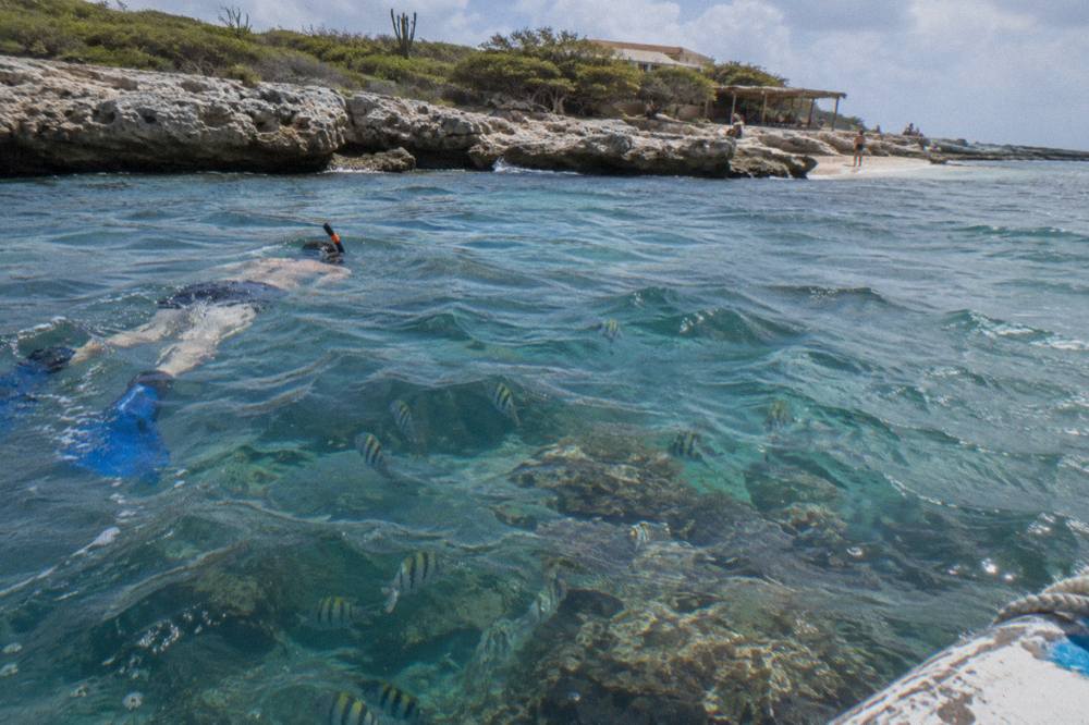 Snorkeler floating over a shallow reef with scattered coral heads and small tropical fish
