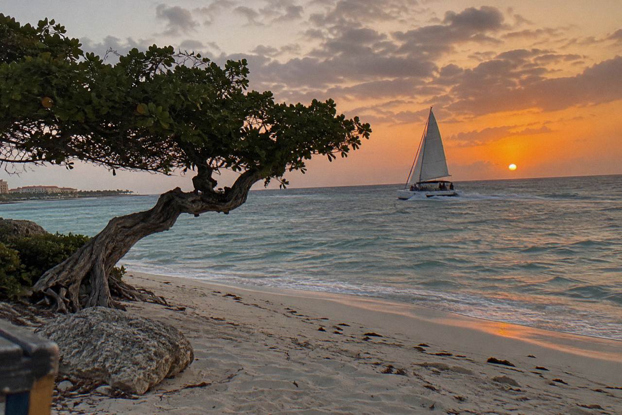 Catamaran sailing along a calm Caribbean shoreline as the sky turns orange near dusk
