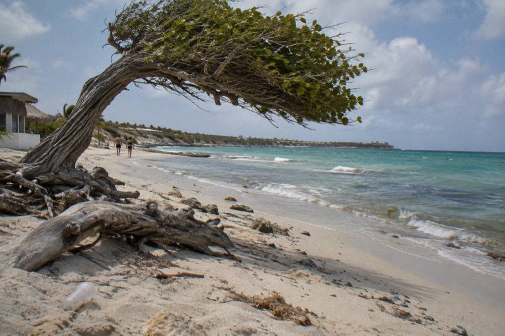 A calm leeward beach on Aruba's west coast with gentle waves and scattered trade wind clouds.