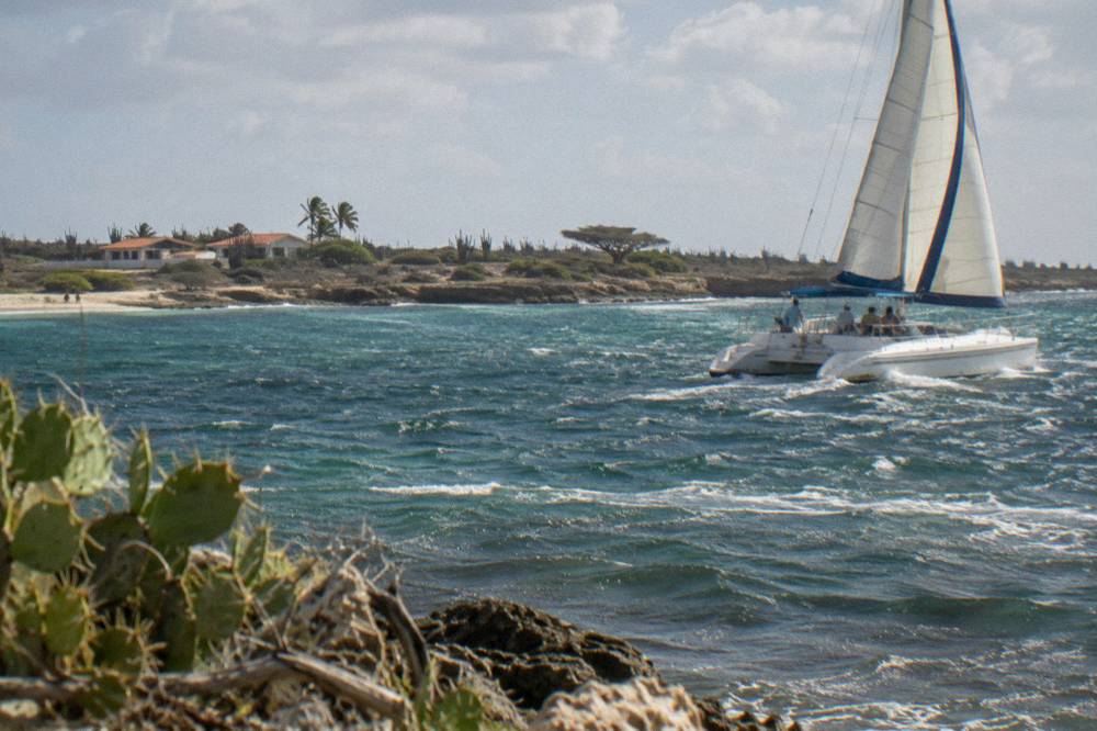 Catamaran under sail in warm late afternoon light near the Aruba coast