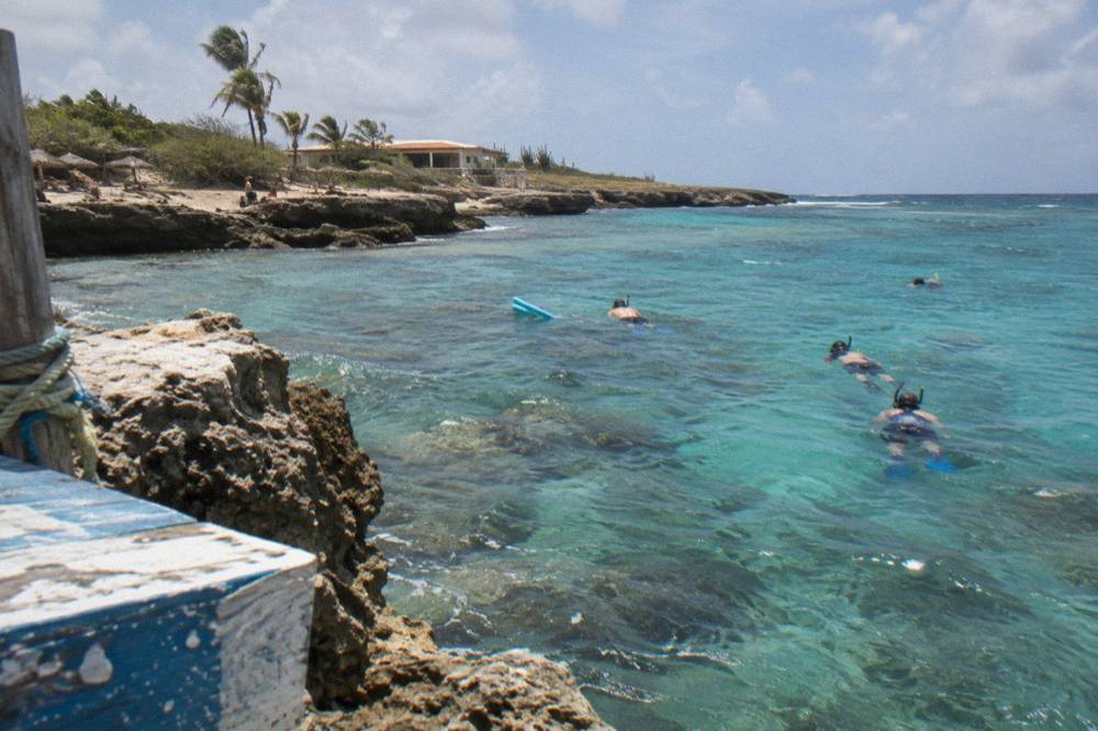 Snorkelers in the water beside a coral reef in calm Caribbean water