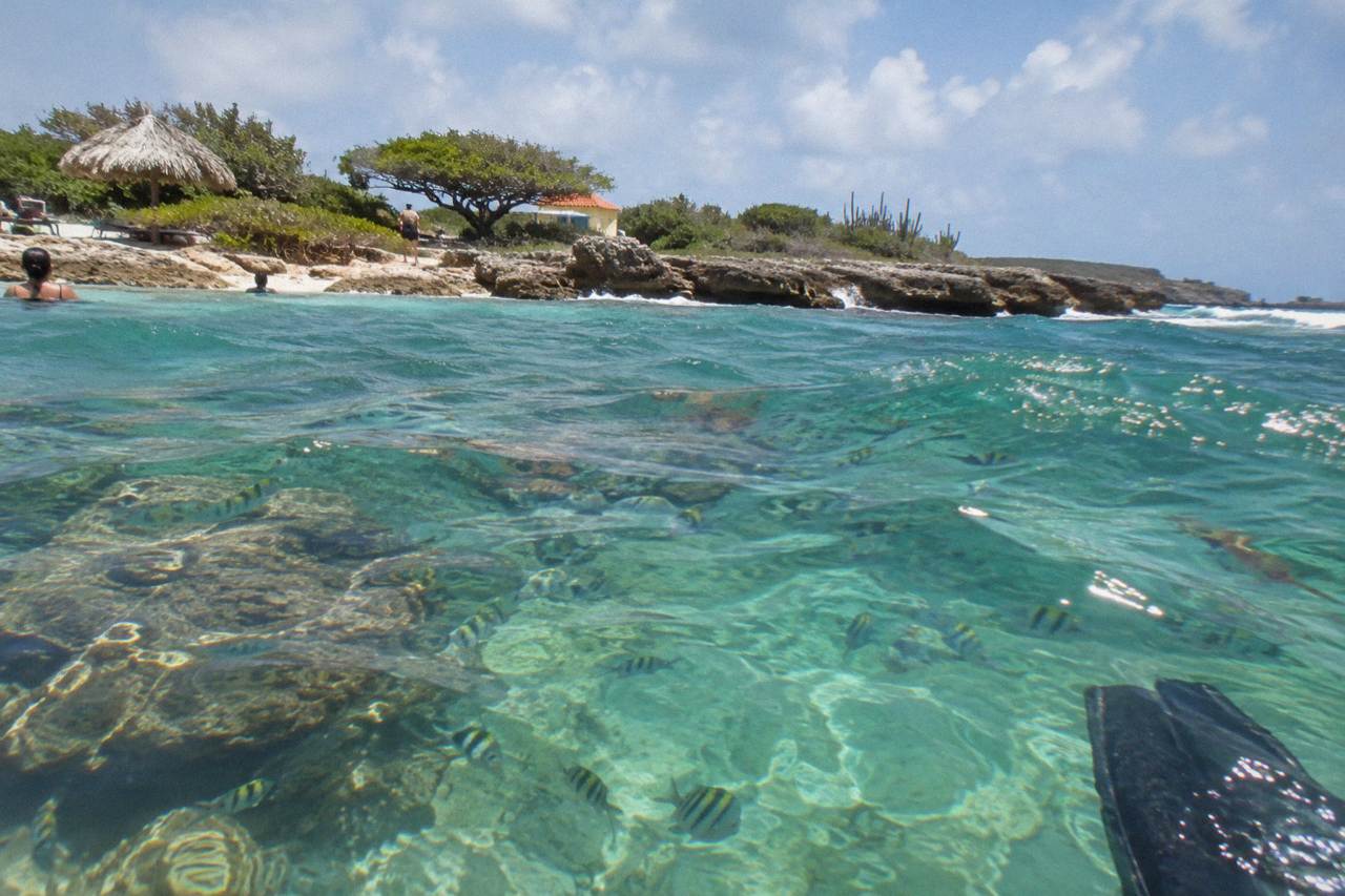 Clear turquoise water over a coral reef with fish near the surface along the Aruba coast