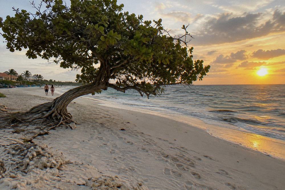 Wide empty beach at golden hour with calm water and a low sun over the Caribbean horizon