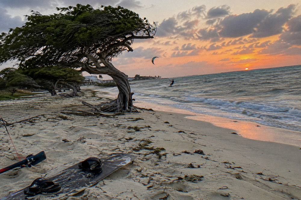 Empty beach at dusk with wind-bent trees against a deep orange and pink sky