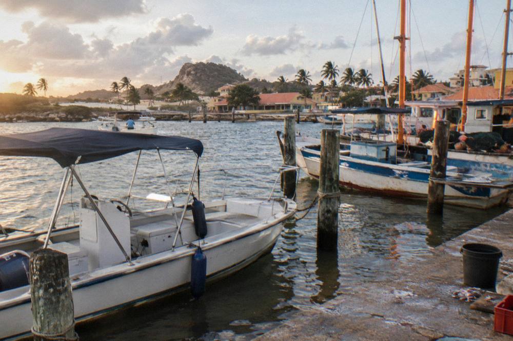 A small private boat with a shaded deck moored at a marina in warm evening light