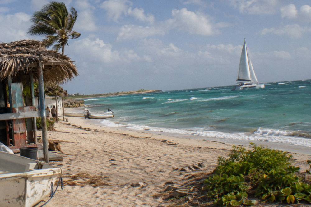 Catamaran sails across open water under partly cloudy sky in warm late afternoon light