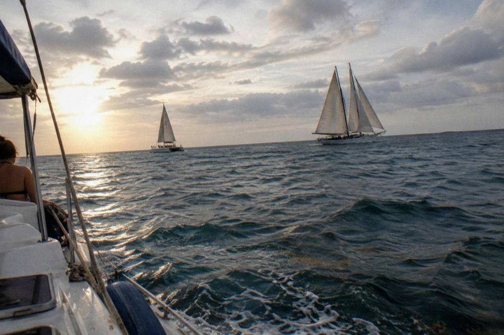 A schooner and catamaran under full sail on open water beneath streaked evening clouds