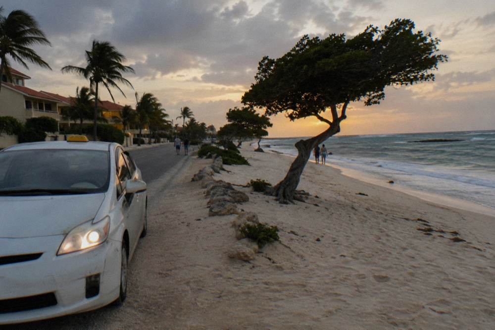 Taxi parked on a palm-lined road beside a low-rise resort at dusk