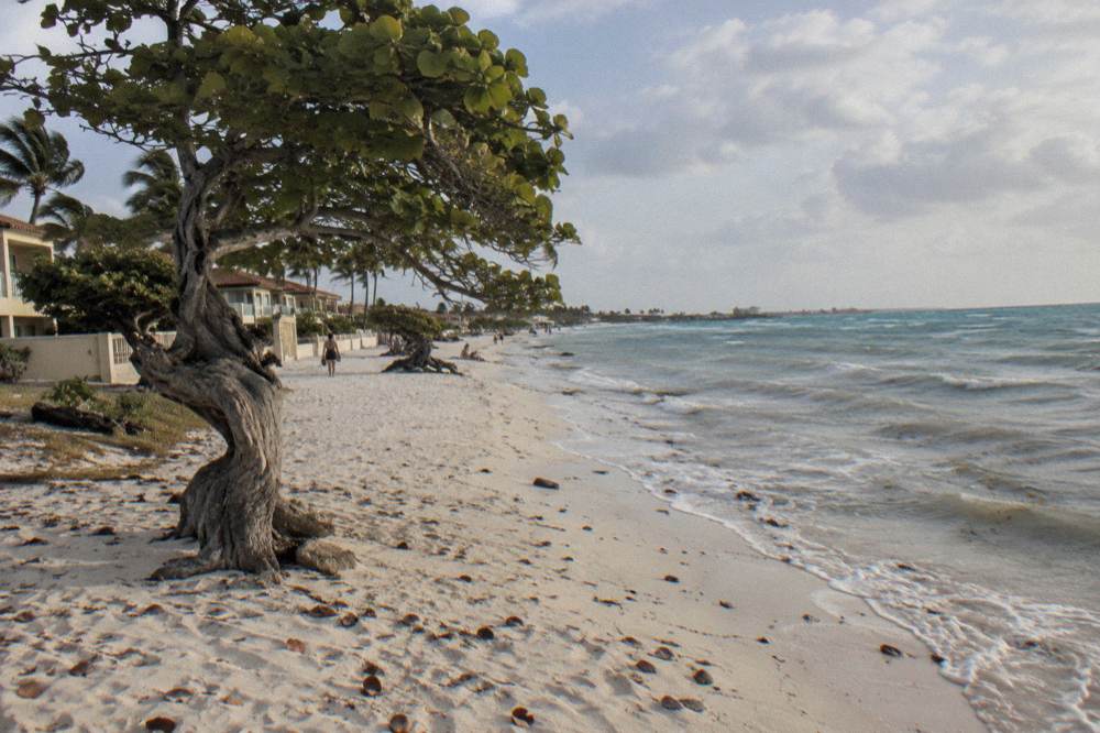 Wide empty white sand beach with divi trees and calm water in late afternoon light