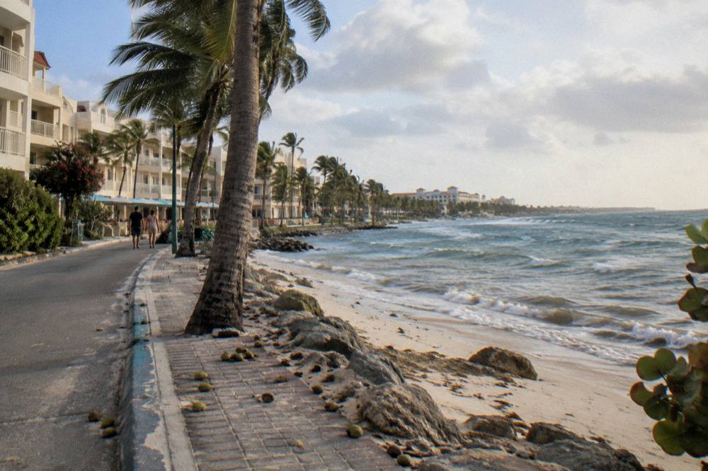 Palm-lined beach road beside low buildings in late afternoon light
