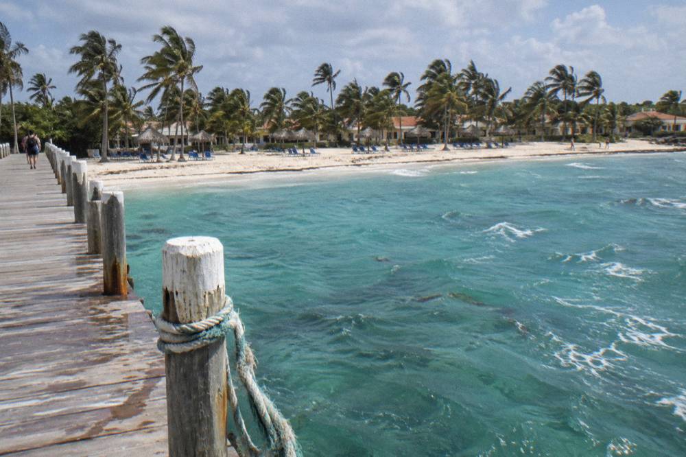 Wooden pier extending into calm turquoise water with beach chairs under palm trees
