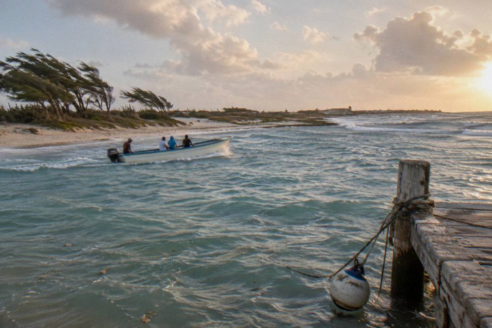 A small boat with a few passengers cruising close to shore at golden hour