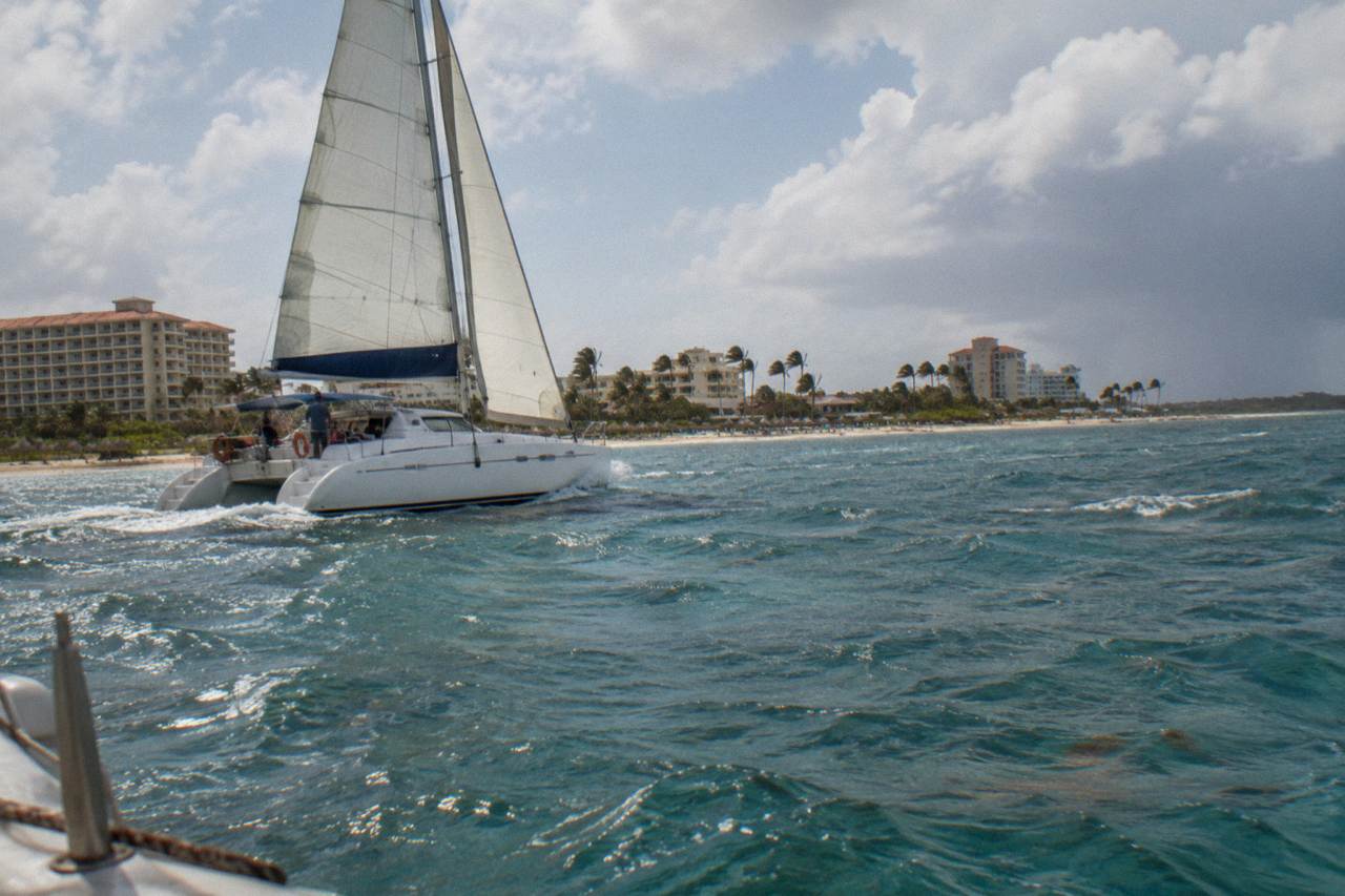 A catamaran under sail off the Palm Beach coastline in the late afternoon light