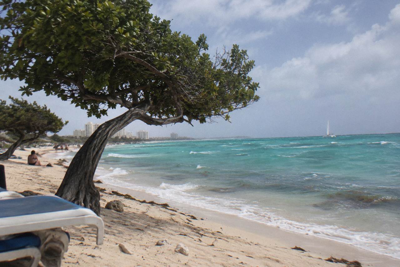 Calm turquoise water off the Palm Beach coast of Aruba with a catamaran sail on the horizon