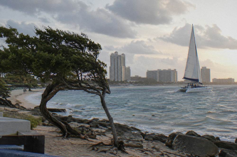 Catamaran sails along Palm Beach with high-rise hotels glowing in evening light