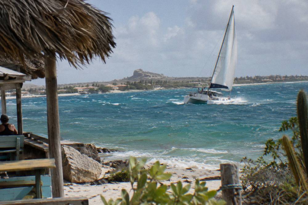 Catamaran under sail in late afternoon light with whitecaps on open water beyond